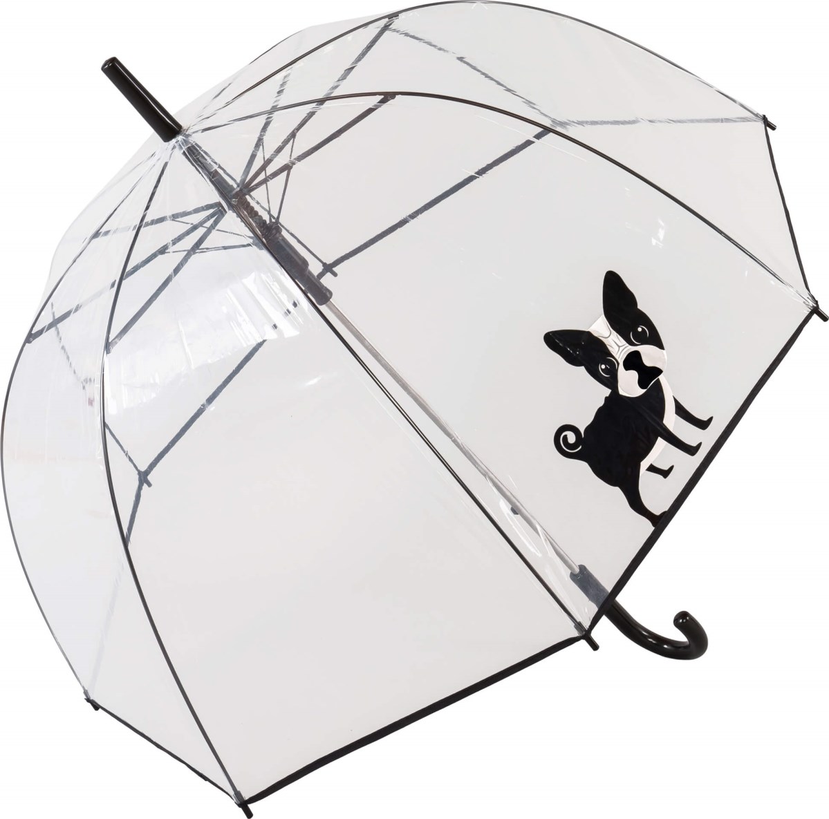 see through umbrella
