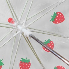 18051%20Stawberry%20Spokes.jpg