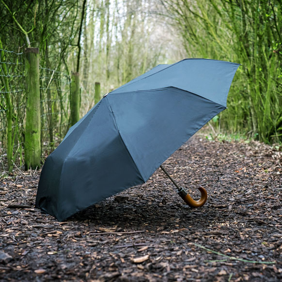 Wooden Handle Automatic Compact Folding Umbrella (3424)